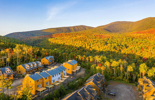 Timberline fall web size