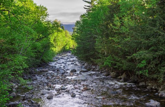 Carrabassett River