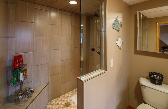 Farmington shower