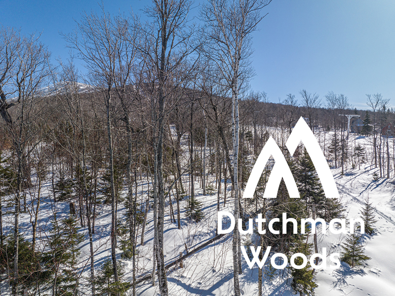 Lot 2 Dutchman Woods Mountainside Real Estate