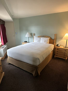 Junior Suite Hotel Room Bed