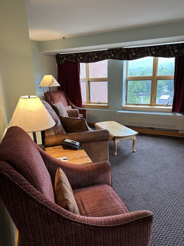 Junior Suite Hotel Room living area