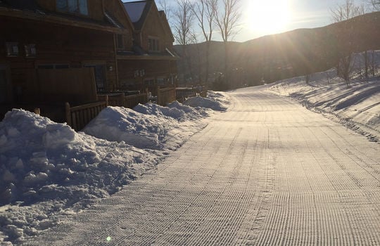 Groomed Timbers