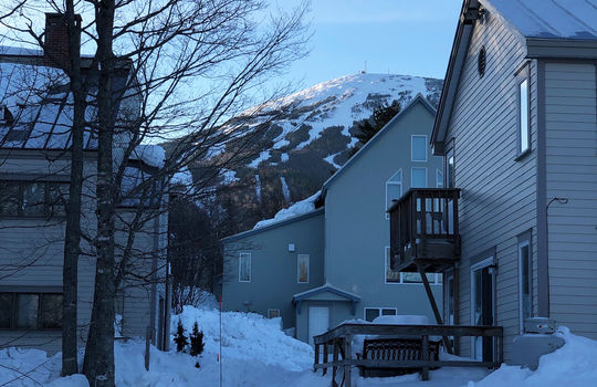 09aab786-2507-4b4a-a0c2-51a946614de1 copy