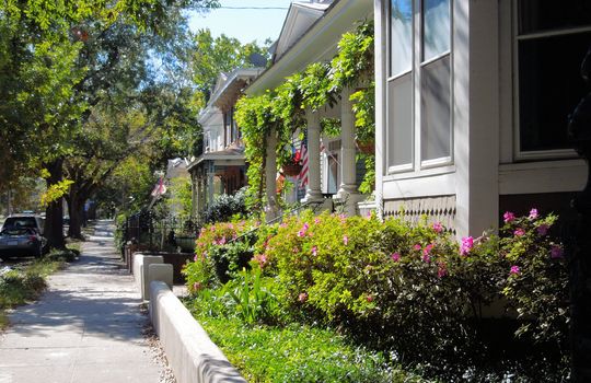 Downtown Wilmington - Streetscape