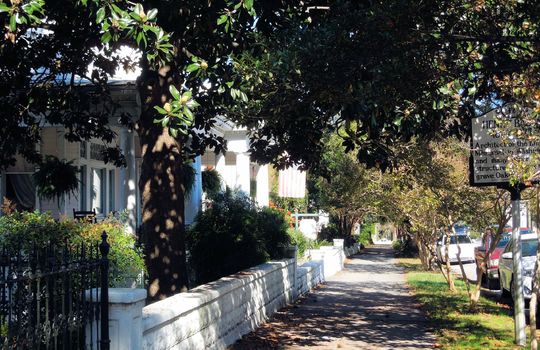 Downtown Wilmington - Streetscape