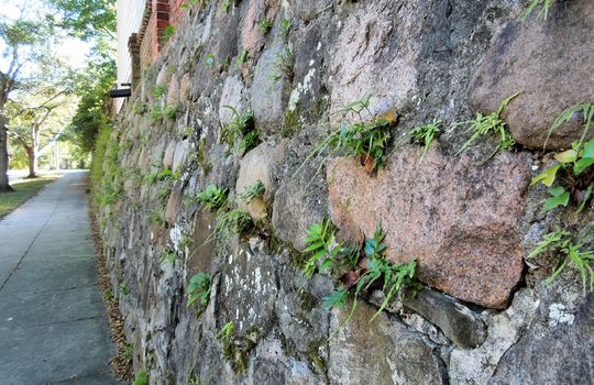 Downtown Wilmington - Streetscape