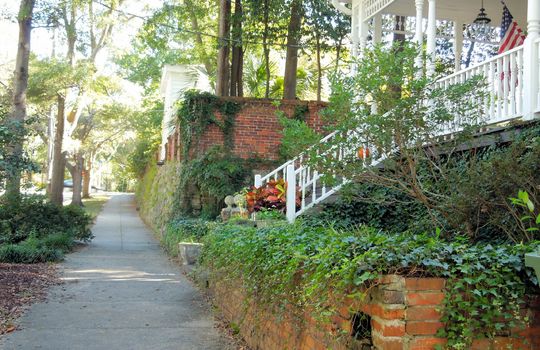 Downtown Wilmington - Streetscape