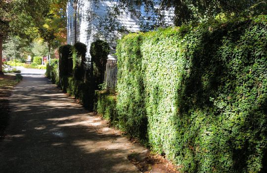 Downtown Wilmington - Streetscape