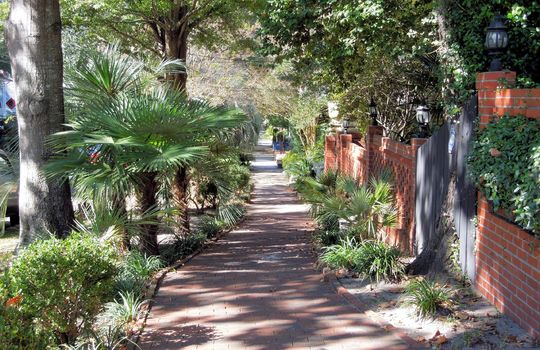 Downtown Wilmington - Streetscape