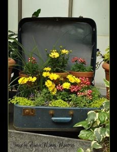 nanas-making-memories-suitcase-planter