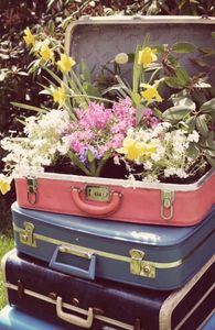studio-34-suitcase-planter
