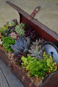 the-garden-glove-toolbox-planter