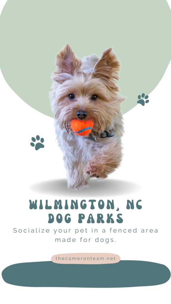Wilmington NC Dog Parks