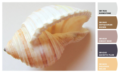 15 Color Palettes Inspired by the Ocean - The Cameron Team