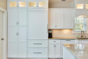 design-line-kitchens-paneled-refrigerator