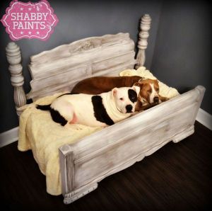 Dog bed with store headboard and footboard