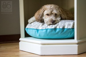 side-table-to-dog-bed-86-lemons