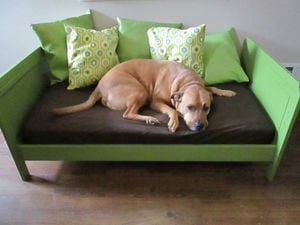 Dog bed with headboard and outlet footboard