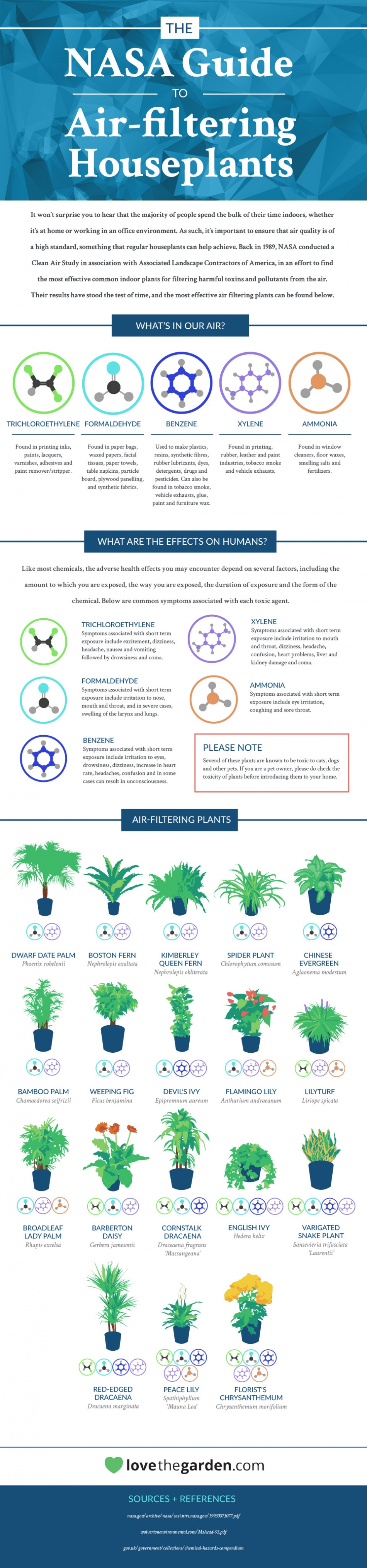 nasa-guide-to-air-filtering-houseplants