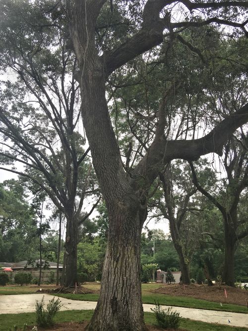 Featured Community Cottage Grove, Wilmington The Cameron Team