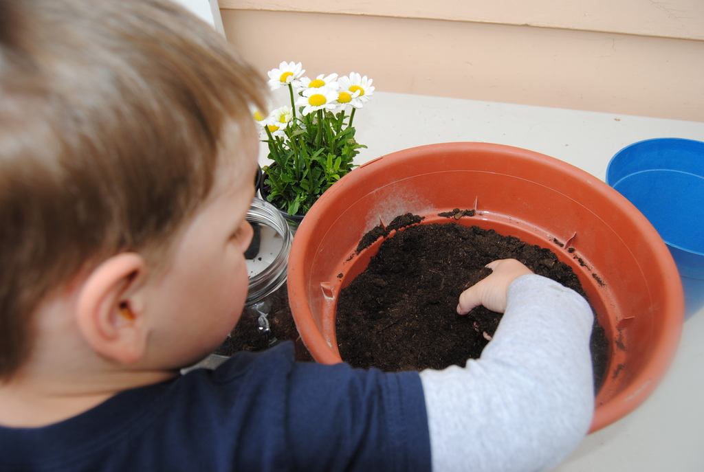 add-dirt-easy-gardening-with-kids