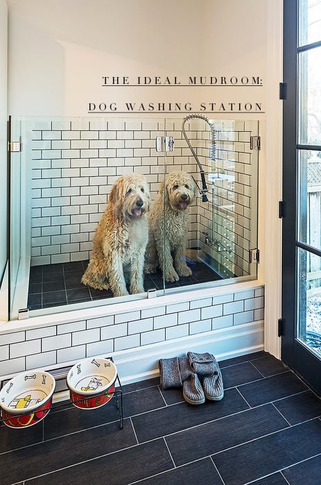 live-simply-dog-washing-station