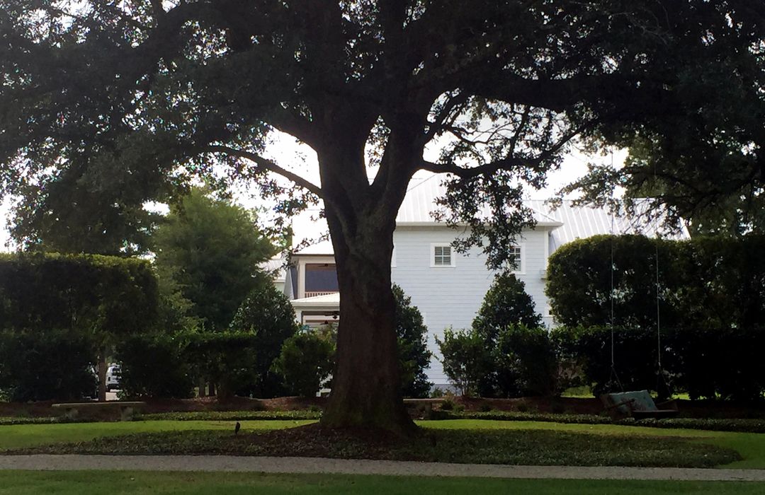 Autumn Hall Homes for Sale in Wilmington, NC The Cameron Team