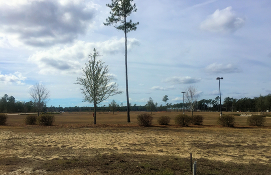 Brunswick Forest - Landscape