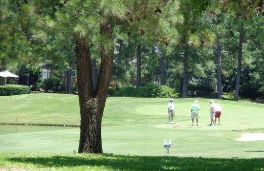 Porters Neck Plantation - Golf Course