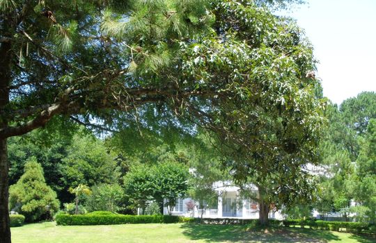 Porters Neck Plantation - Golf Course