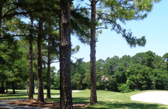 Porters Neck Plantation - Golf Course