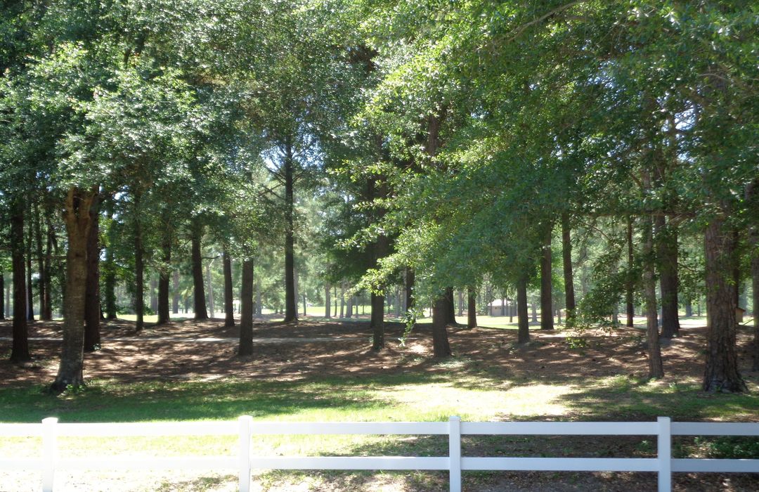 Porters Neck Plantation Homes for Sale in Wilmington, NC
