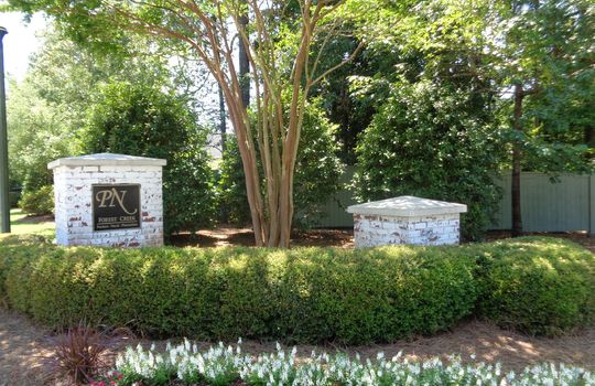 Porters Neck Plantation - Forest Creek