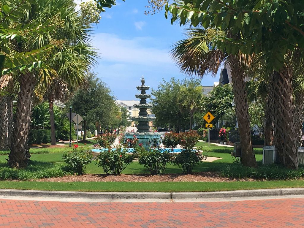 Parkside at Mayfaire Fountain The Cameron Team