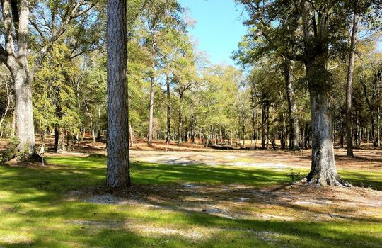 Park at River Bluffs