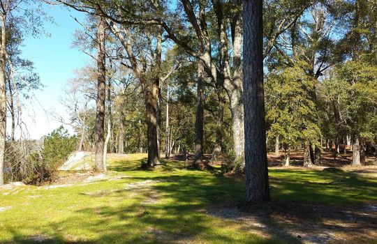 Park at River Bluffs