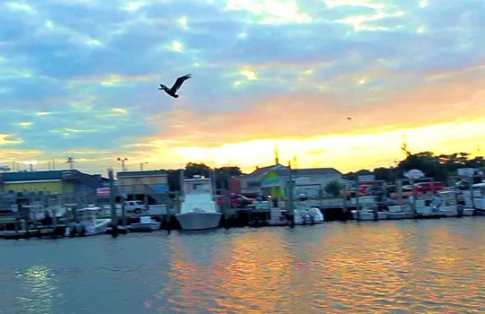Carolina Beach Houses