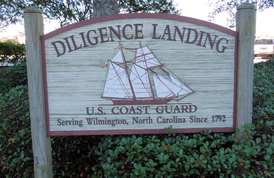 Diligence Landing
