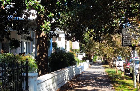 Historic District - Example Home