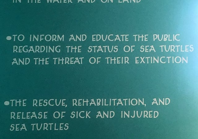 Karen Beasley Sea Turtle Rescue and Rehabilitation Center in Surf City
