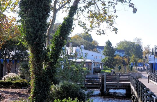 The George and Pilot House