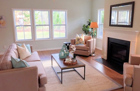 Clearwater Preserve Example Living Room