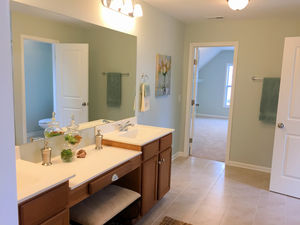 Clearwater Preserve Example Master Bathroom
