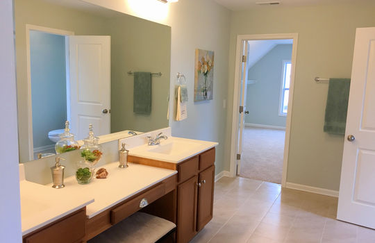 Clearwater Preserve Example Master Bathroom