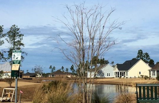 Compass Pointe - Canal