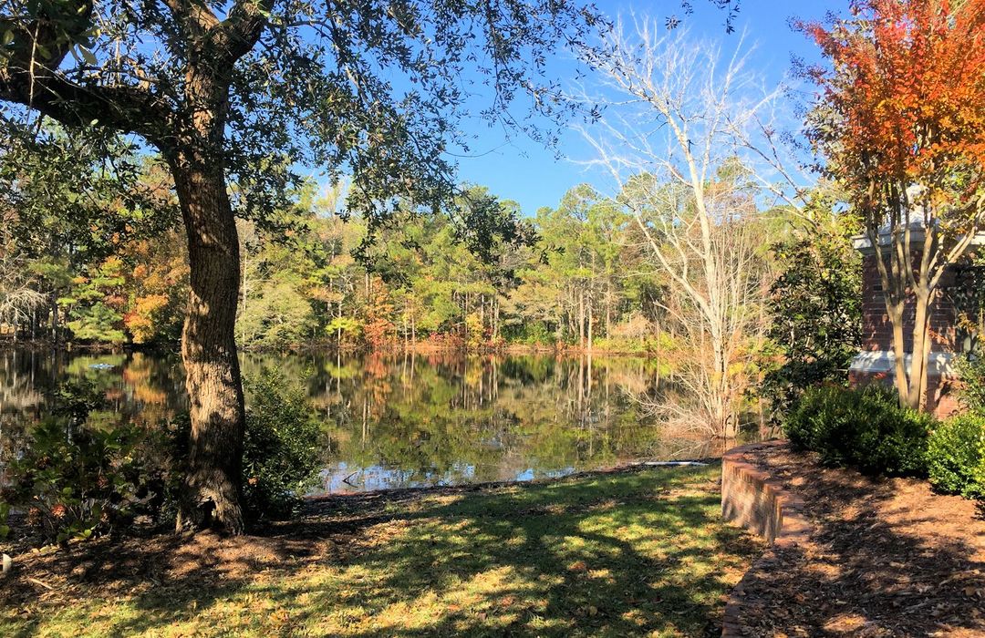 Crown Pointe Homes for Sale in Hampstead, NC The Cameron Team