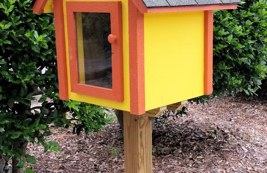 Little Free Library at Kings Grant Park