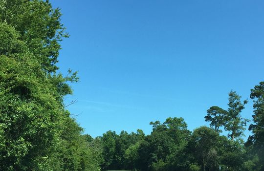 Belvedere Plantation - Fairway