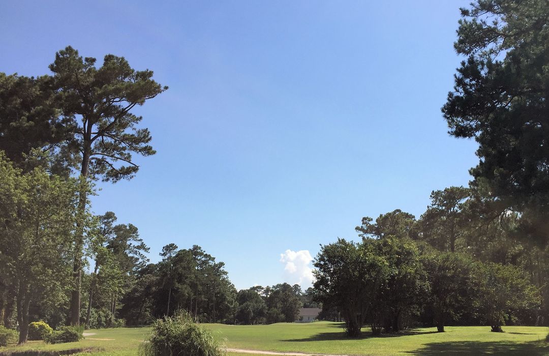 Belvedere Plantation Homes for Sale in Hampstead, NC Cameron Team